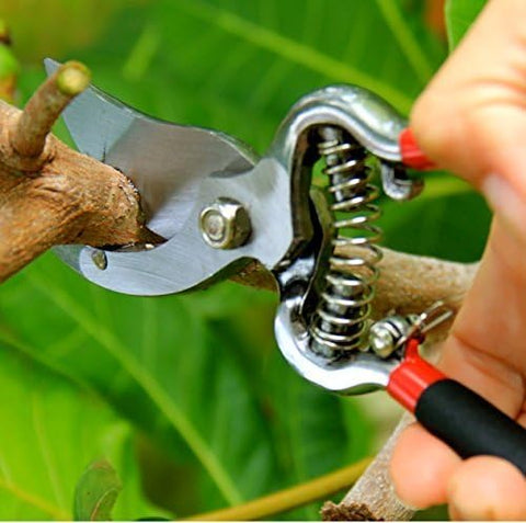 Garden Guru Classic Bypass Pruner spring-loaded action reduces hand fatigue
