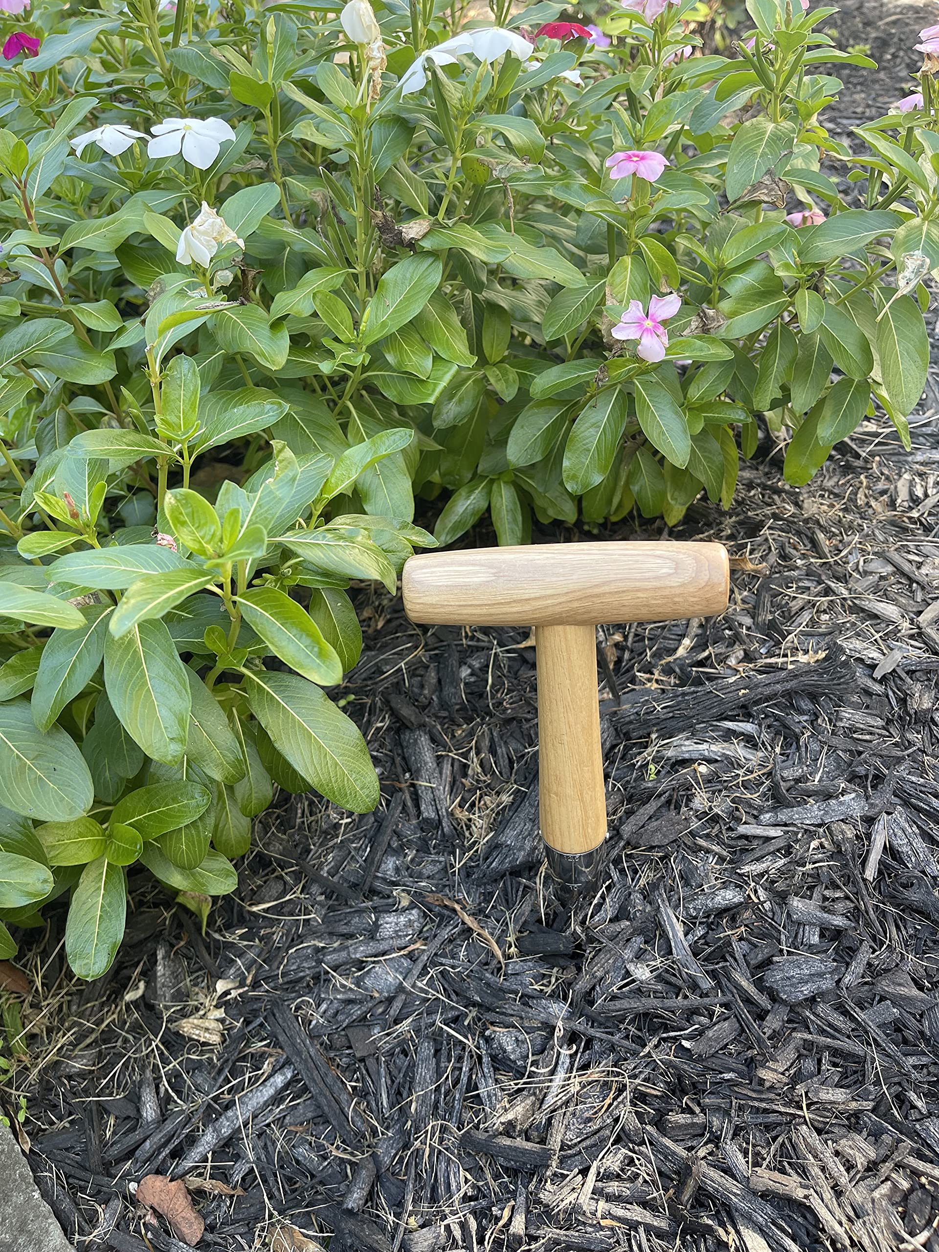 Garden Guru dibber in use creating a planting hole.