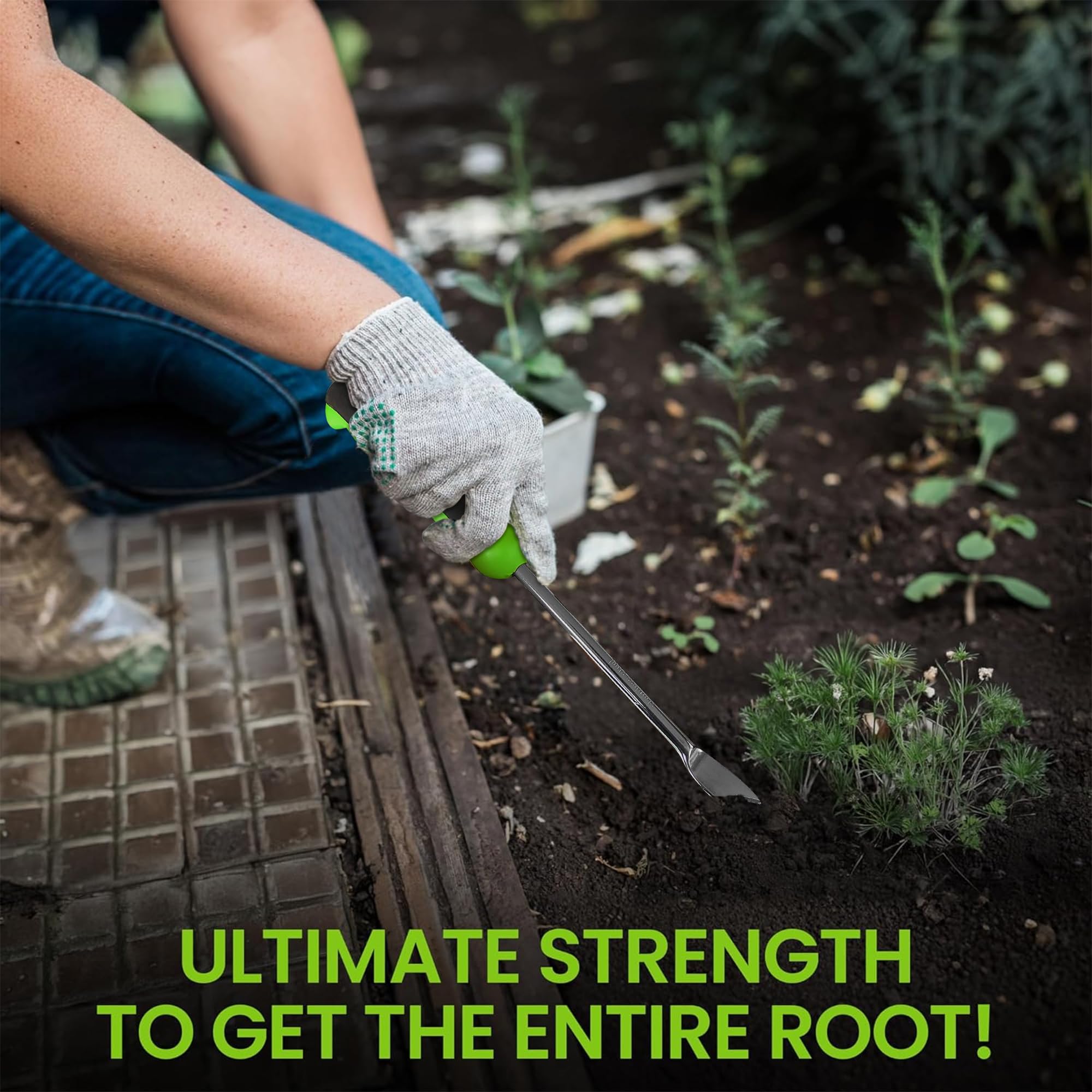Garden Guru stainless steel weeding tool featuring two-pronged fork for root extraction