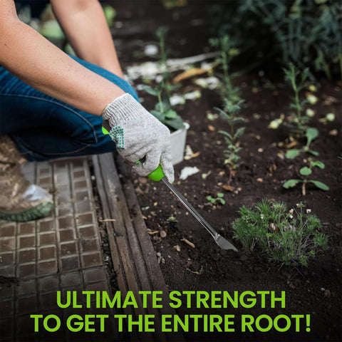 Garden Guru stainless steel weeding tool featuring two-pronged fork for root extraction