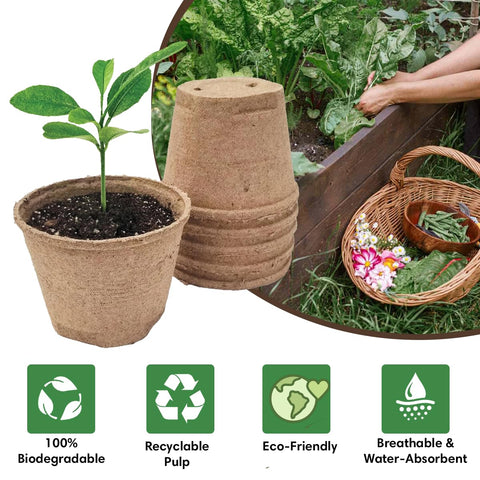 Garden Haven biodegradable pots in garden setup for direct soil planting