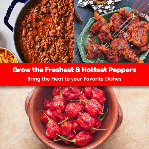 Garden Haven Ghost Carolina Reaper seeds for home harvests