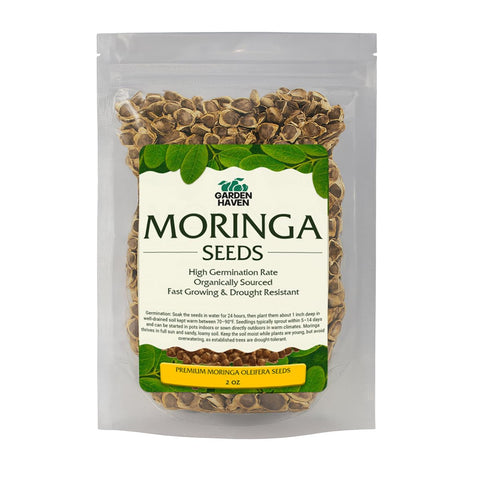 Garden Haven Moringa harvest-ready leaves illustrate versatility and fresh flavor potential