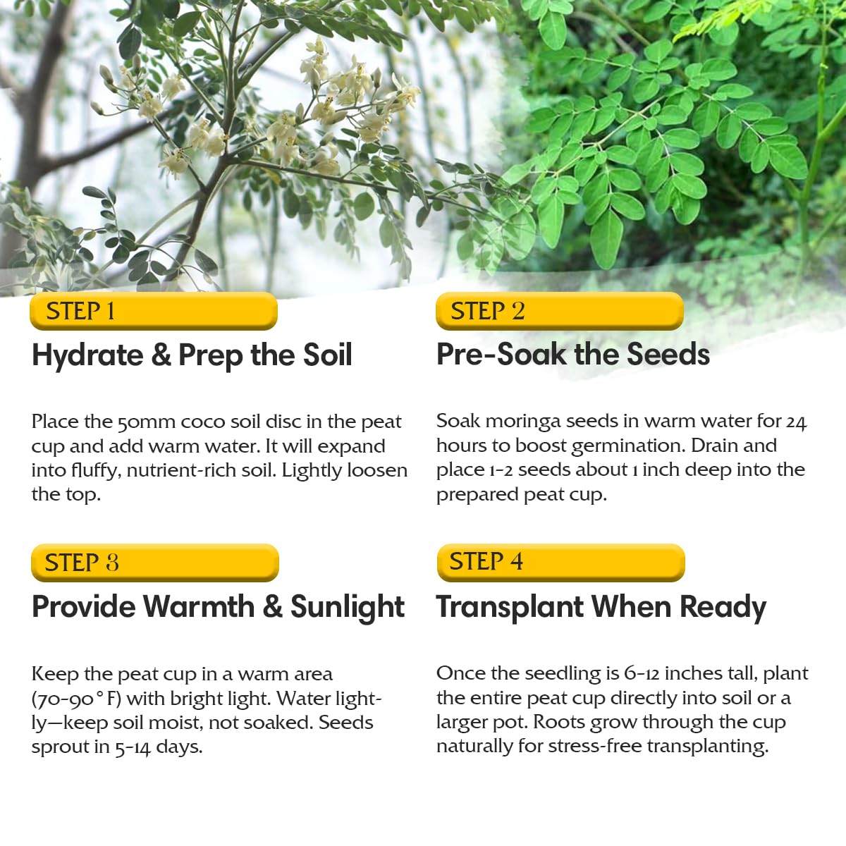 Garden Haven Moringa plant markers to label and organize your garden