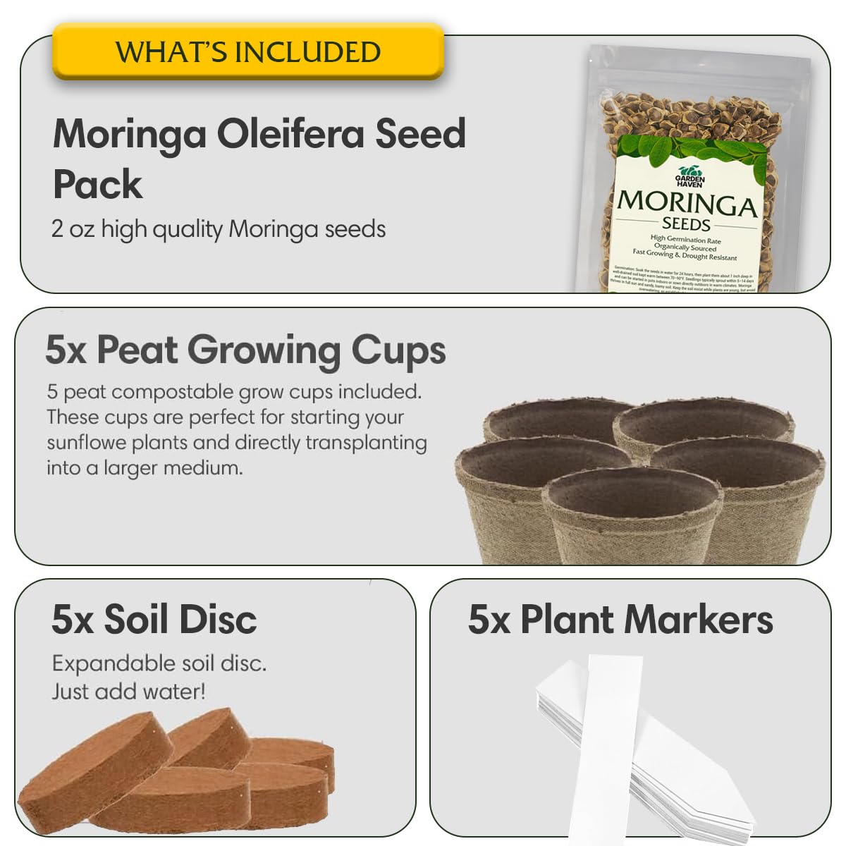Garden Haven Moringa soil discs activated with water for effortless potting