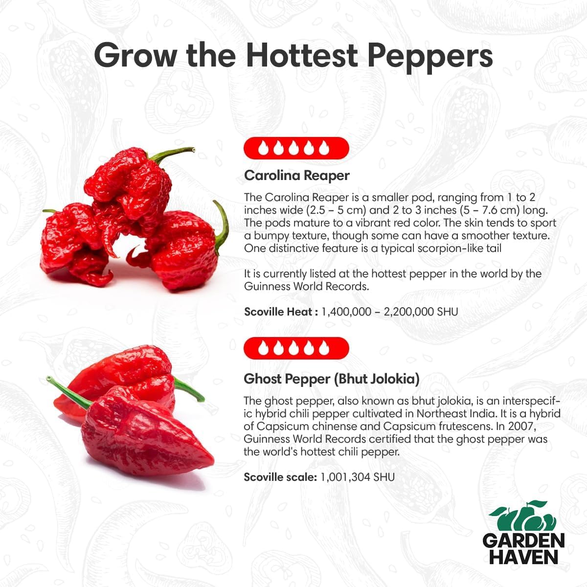 Garden Haven seeds ready to germinate for fiery peppers at home