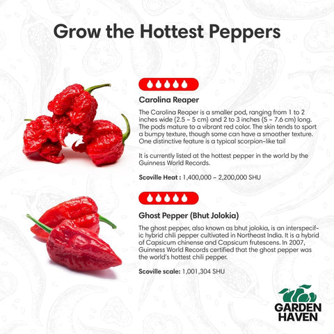 Garden Haven seeds ready to germinate for fiery peppers at home
