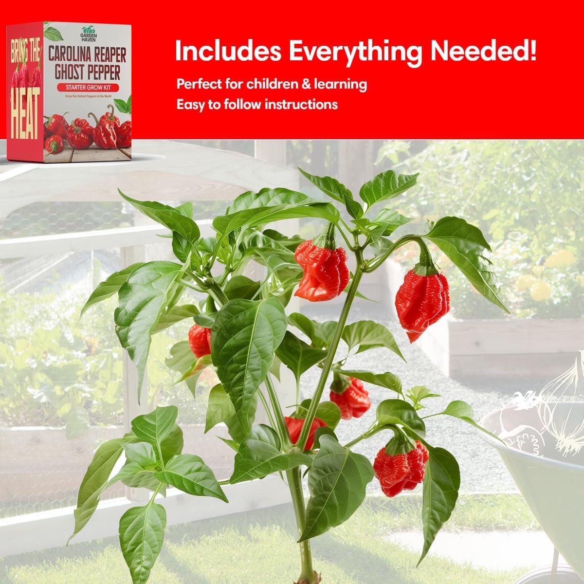 Garden Haven starter grow kit markers and instructions aiding beginners