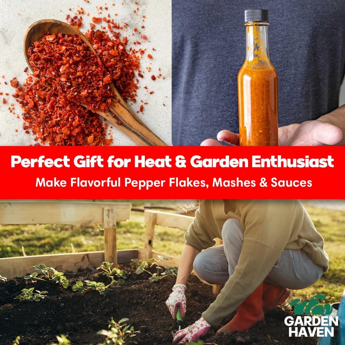 Garden Haven premium pepper seeds enabling robust germination and growth
