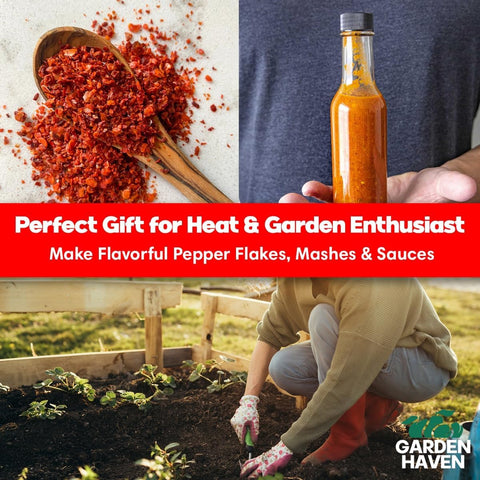 Garden Haven premium pepper seeds enabling robust germination and growth