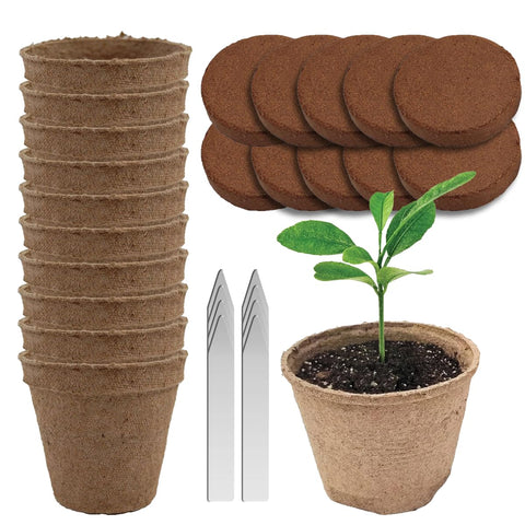 Garden Haven seedling starter kit front view for easy home germination