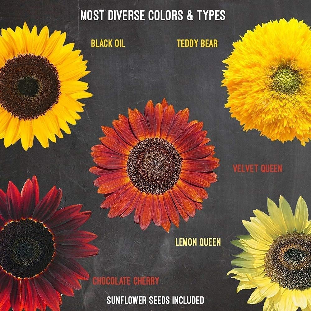 Garden Haven grow guide offers step-by-step planting instructions for beginners.