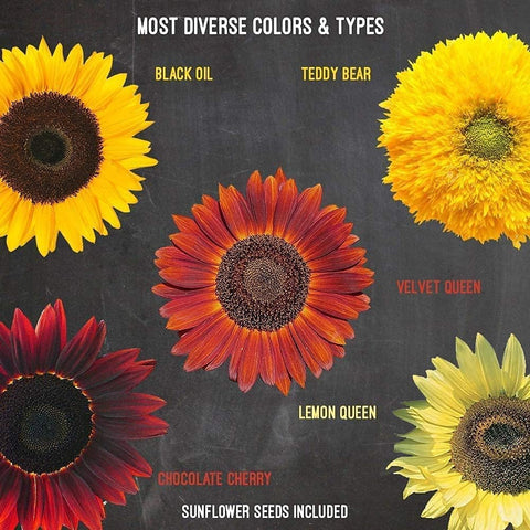 Garden Haven grow guide offers step-by-step planting instructions for beginners.
