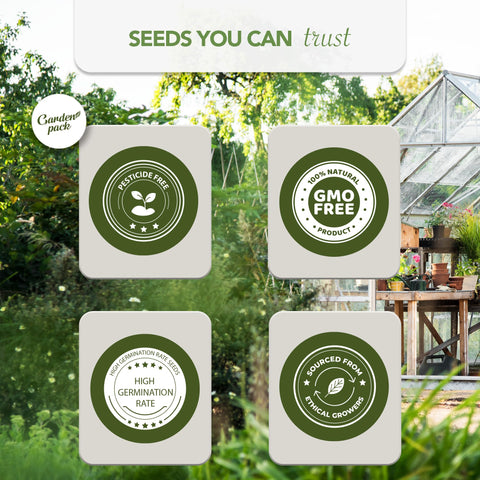 Garden Pack Gift for Green Thumbs inspires seasonal planting projects.