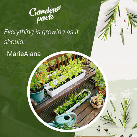 Garden Pack kit suitable for indoors or outdoors herb cultivation.
