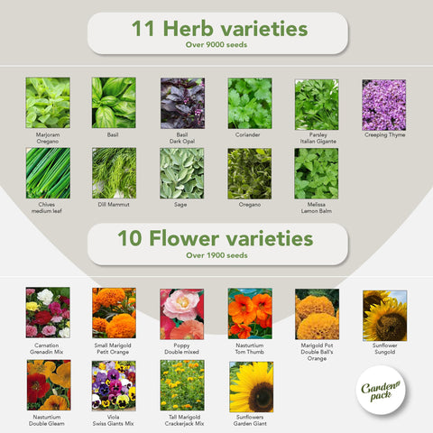 Garden Pack Non-GMO Seeds 99 purity for healthy sprouting.