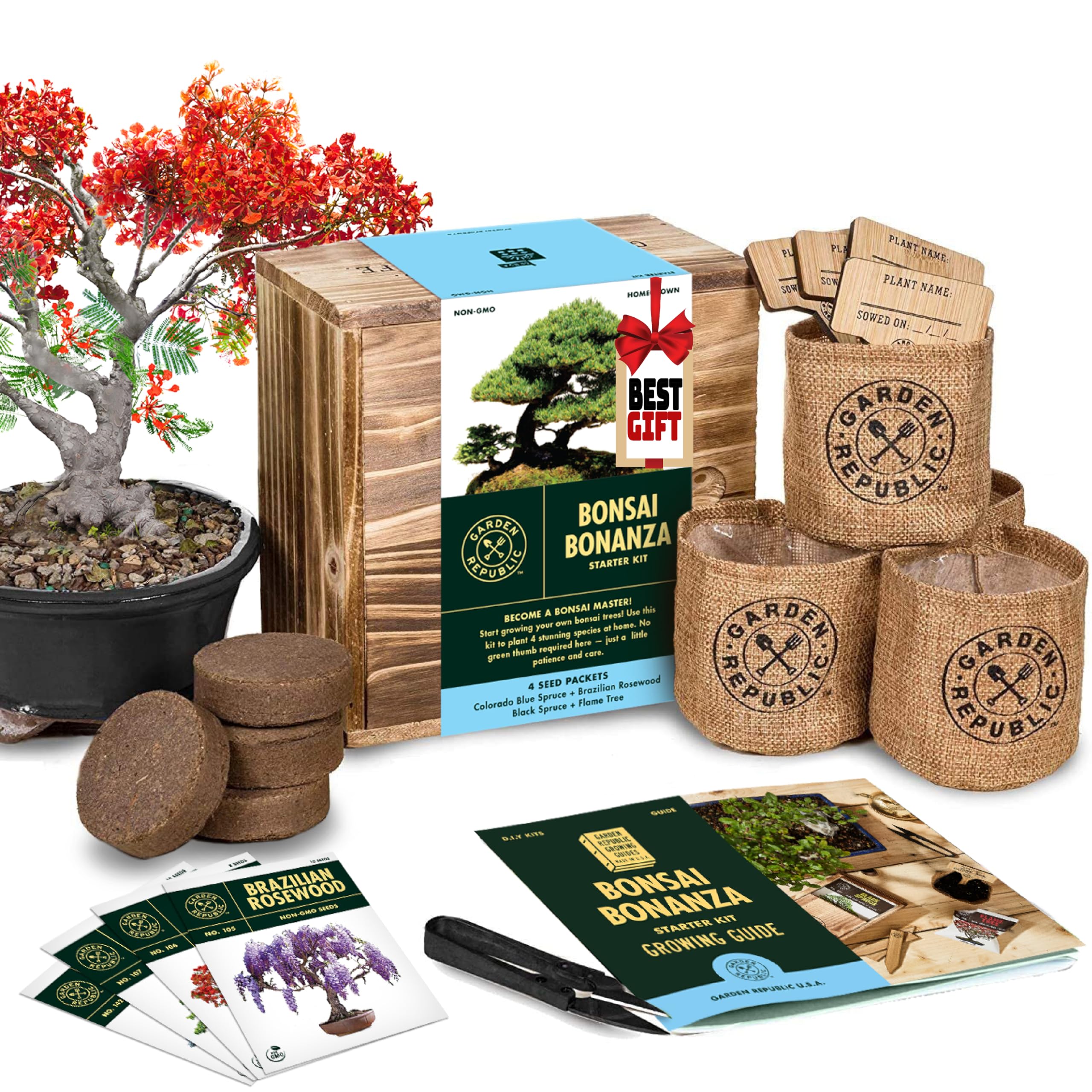Garden Republic Bonsai Kit seeds varieties: learn multiple mini bonsai options for budding gardeners.