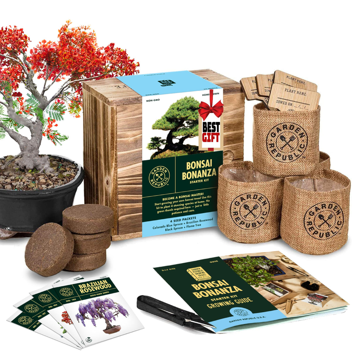 Garden Republic Bonsai Kit seeds varieties: learn multiple mini bonsai options for budding gardeners.