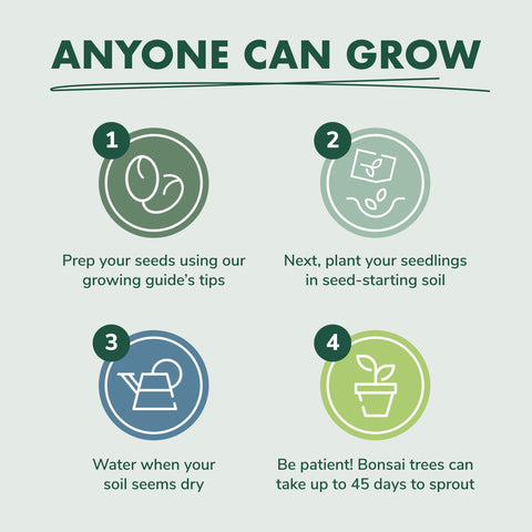 Garden Republic Soil Disks simplify seed planting with compact, ready-to-use substrates.