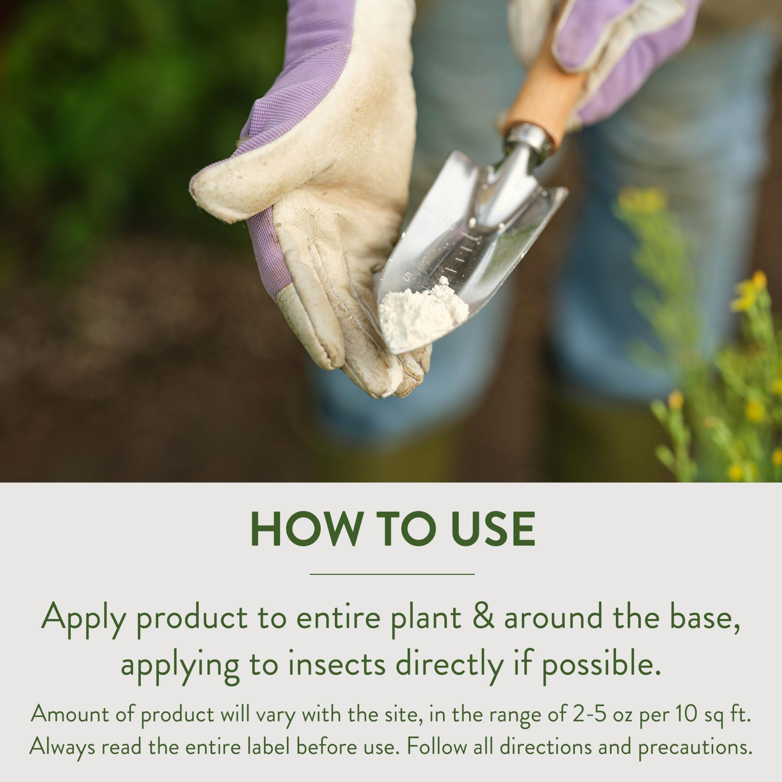 Garden Safe diatomaceous earth long-lasting control for crawling insects