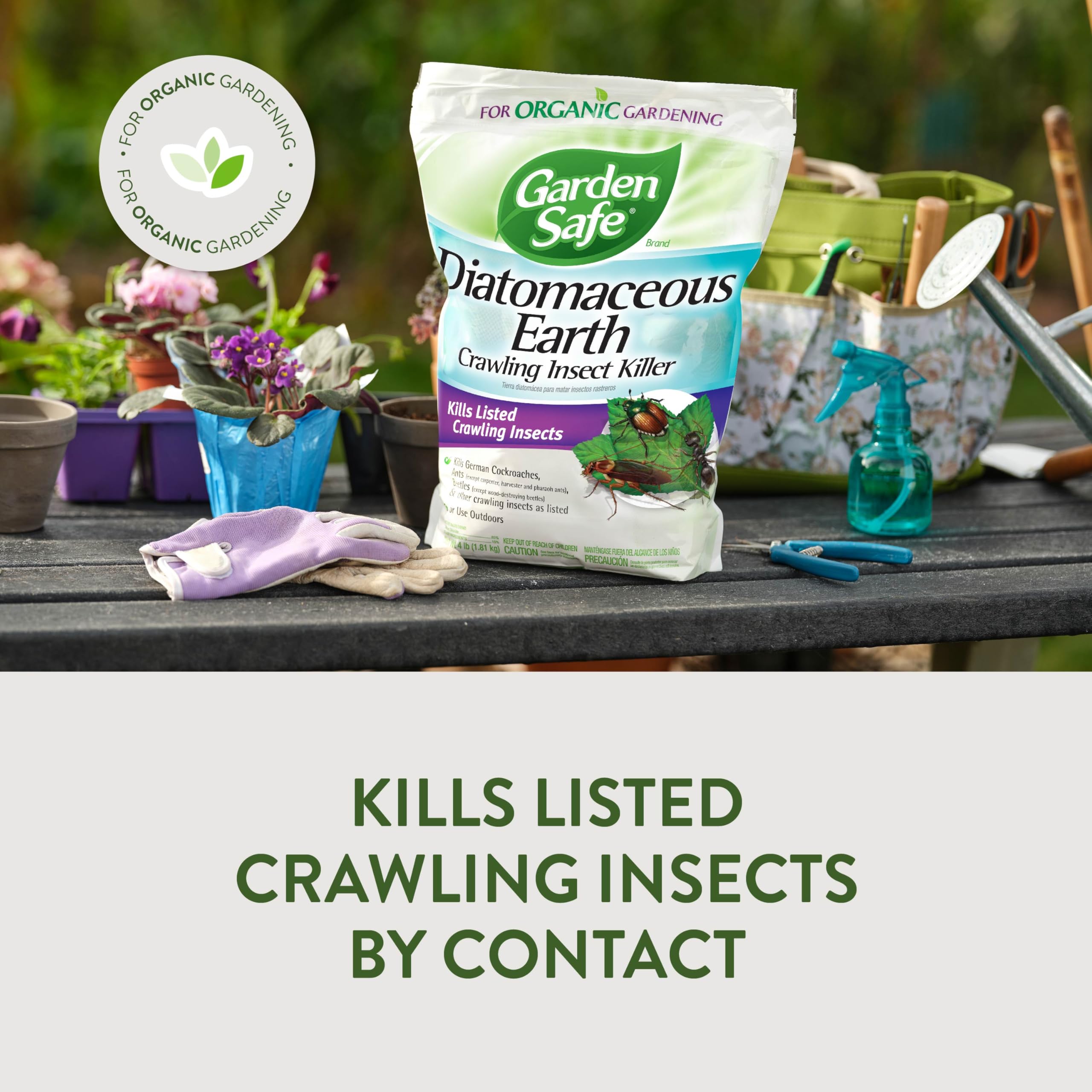 Garden Safe diatomaceous earth powder dusted on plant leaves for pest control