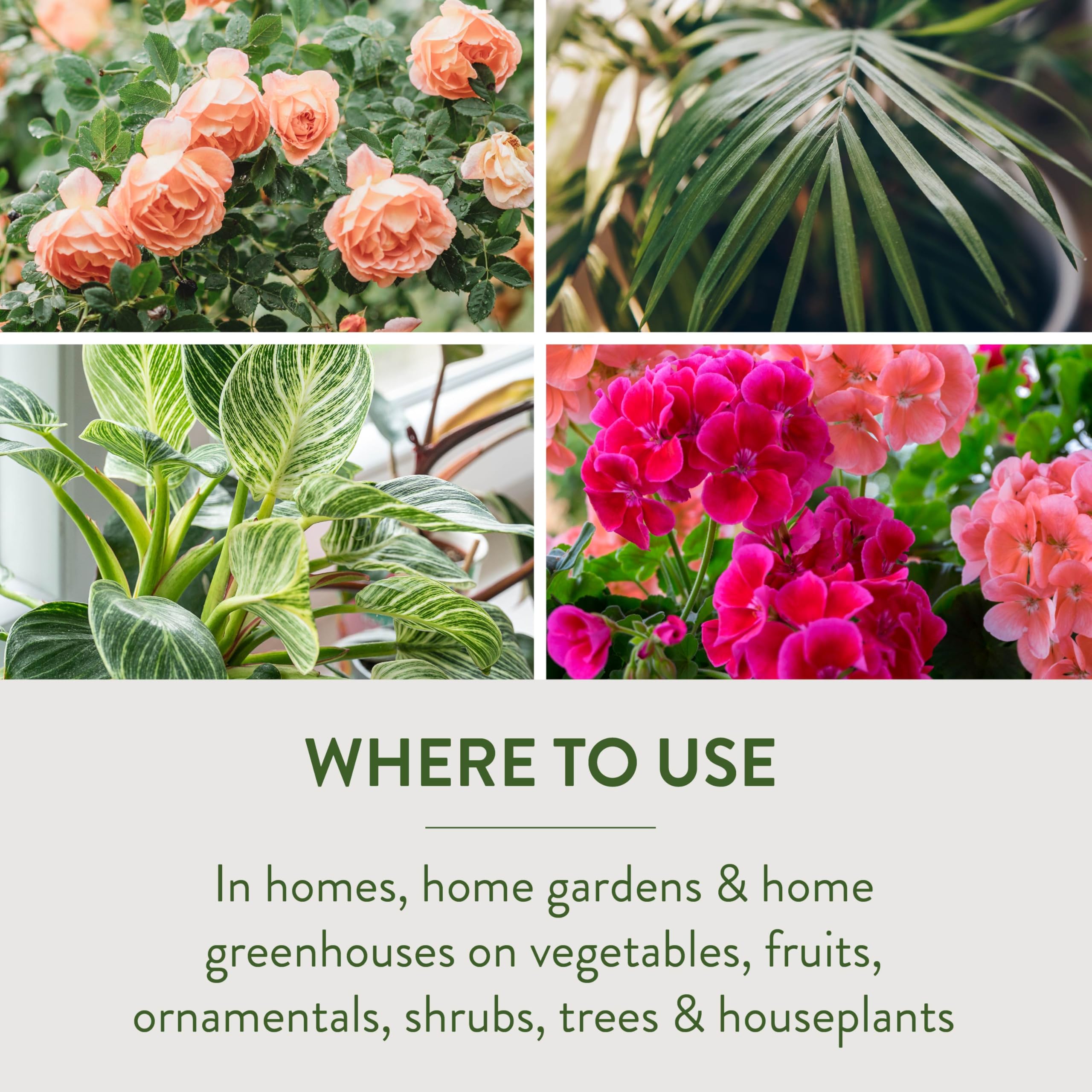 Garden Safe edible-crops-harvest-day compatible with crops up to harvest