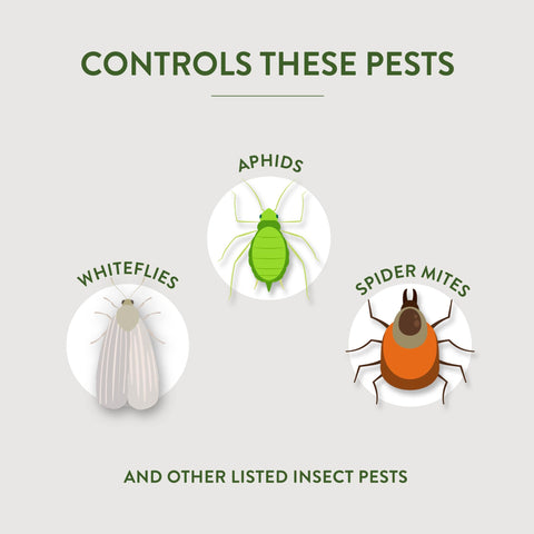 Garden Safe Fungicide3 on flowers offering preventive protection.