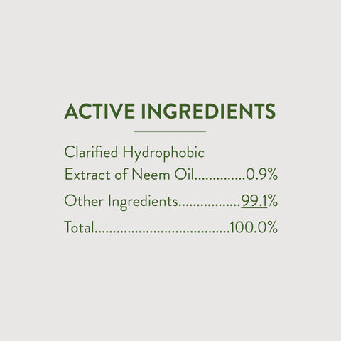 Garden Safe Fungicide3 treating flowers and foliage with neem oil.