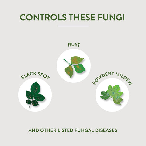 Garden Safe Fungicide3 used on fruits, nuts, and vegetables in a beds.