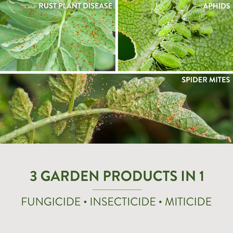 Garden Safe Fungicide3 applied to houseplants for pest protection.