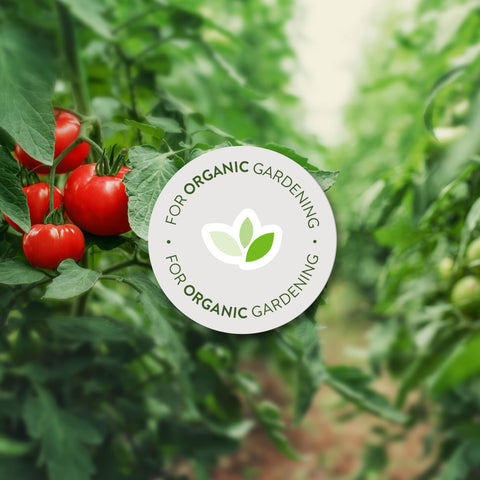 Neem oil extract close-up used in Garden Safe Fungicide3.