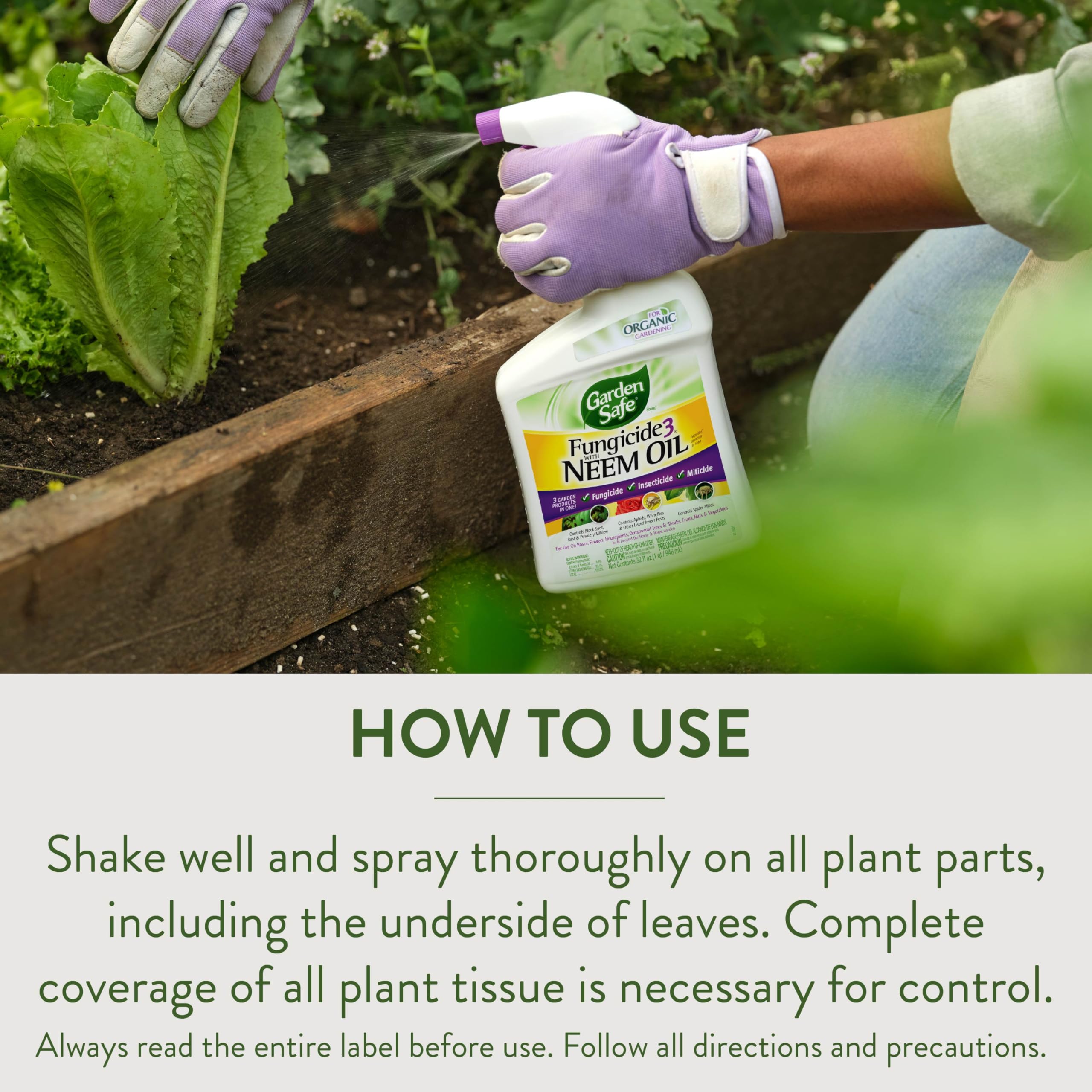 Garden Safe Fungicide3 helps manage spider mites on foliage.