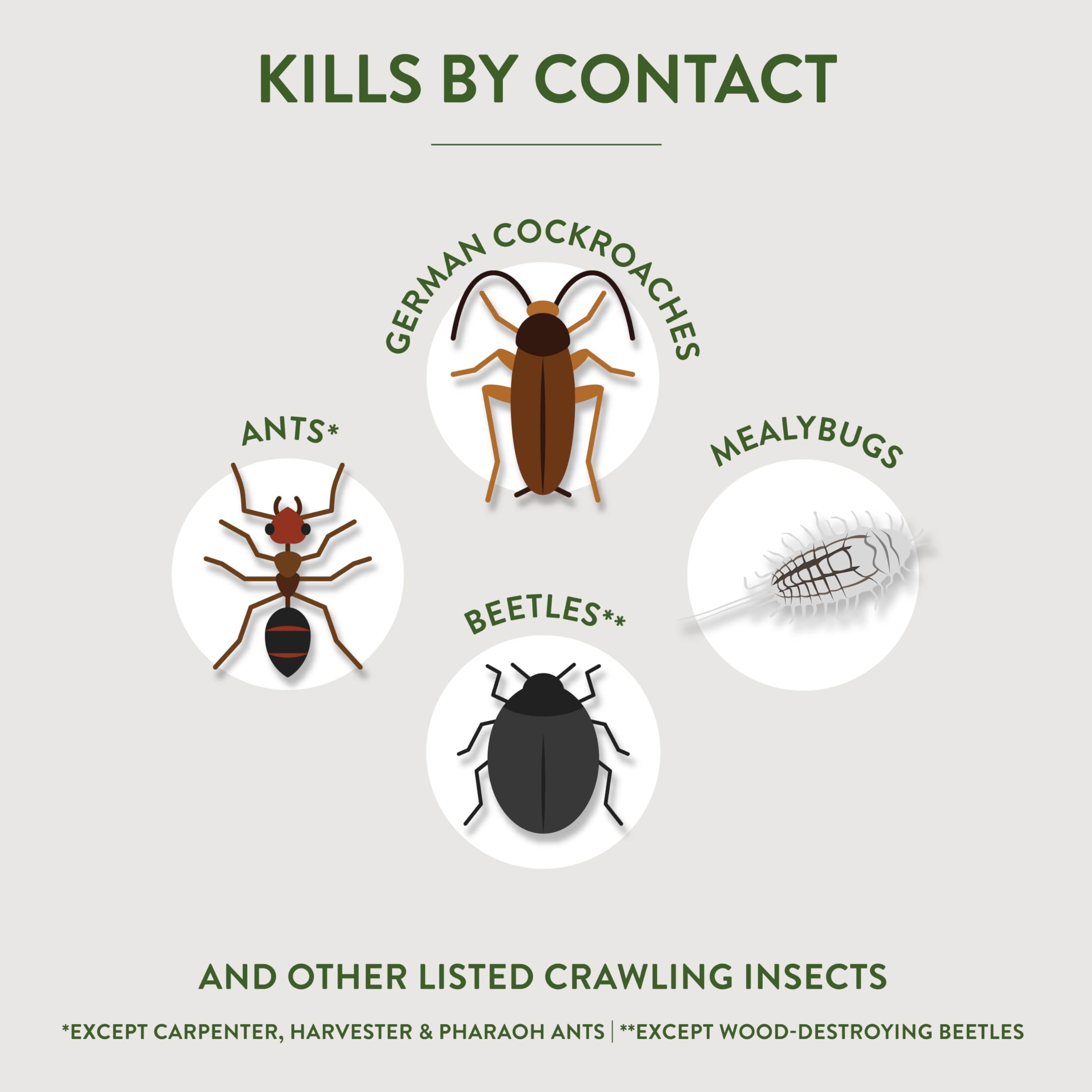 Garden Safe crawling insect killer in action, kills pests by contact
