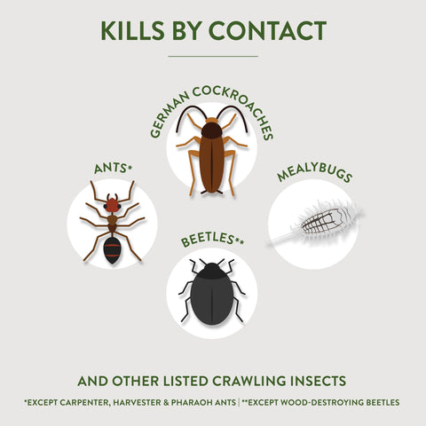 Garden Safe crawling insect killer in action, kills pests by contact