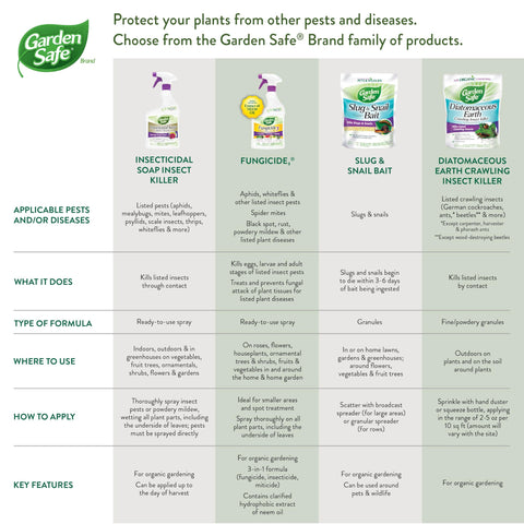 Garden Safe application on leaf undersides to target hidden pests.