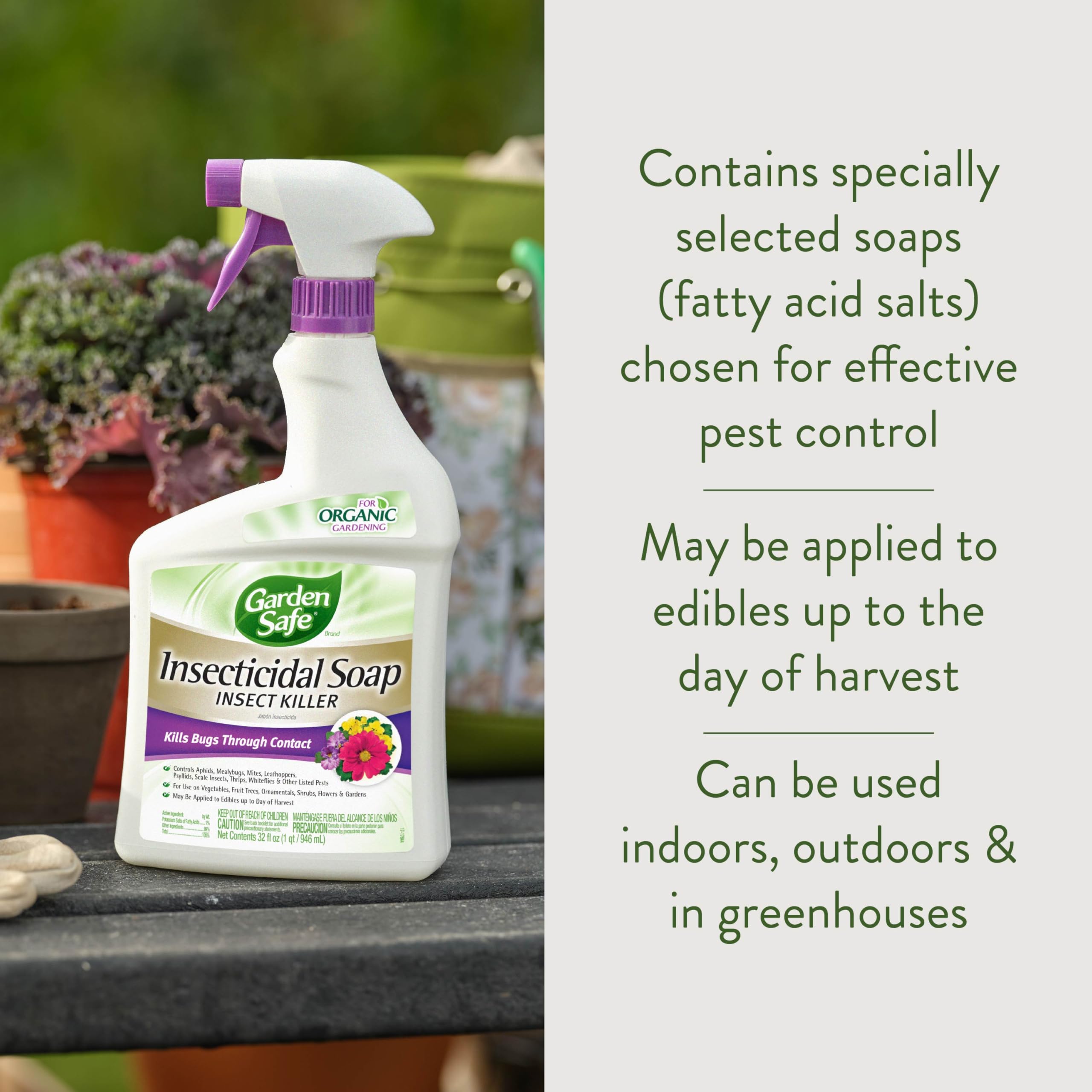 Garden Safe insecticidal soap bottle back showing label and usage directions.