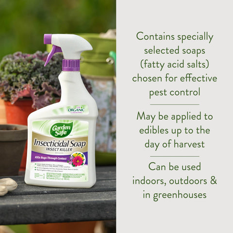 Garden Safe insecticidal soap bottle back showing label and usage directions.