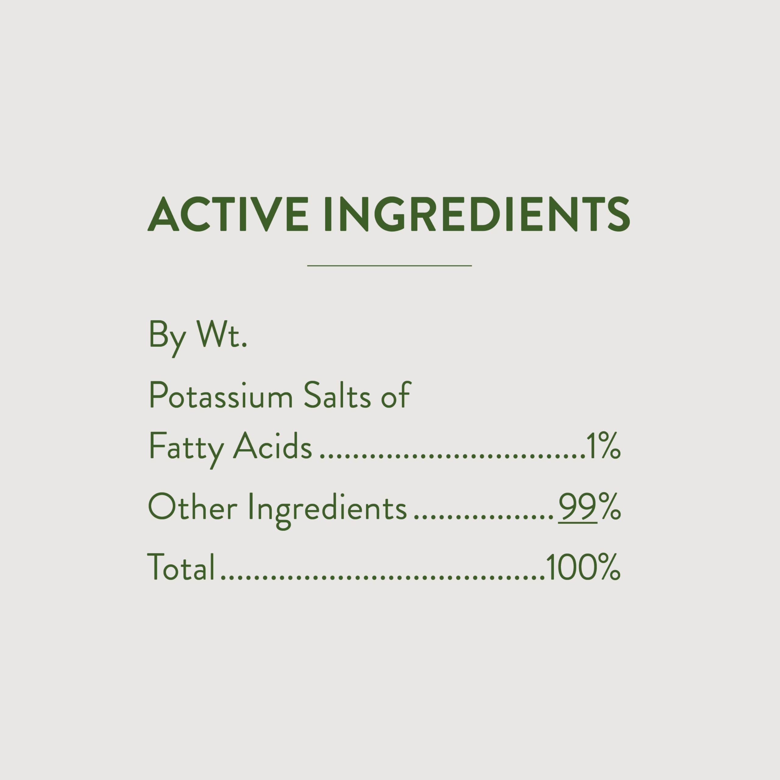 Garden Safe label close-up highlighting fatty acid salt formula for pest control.