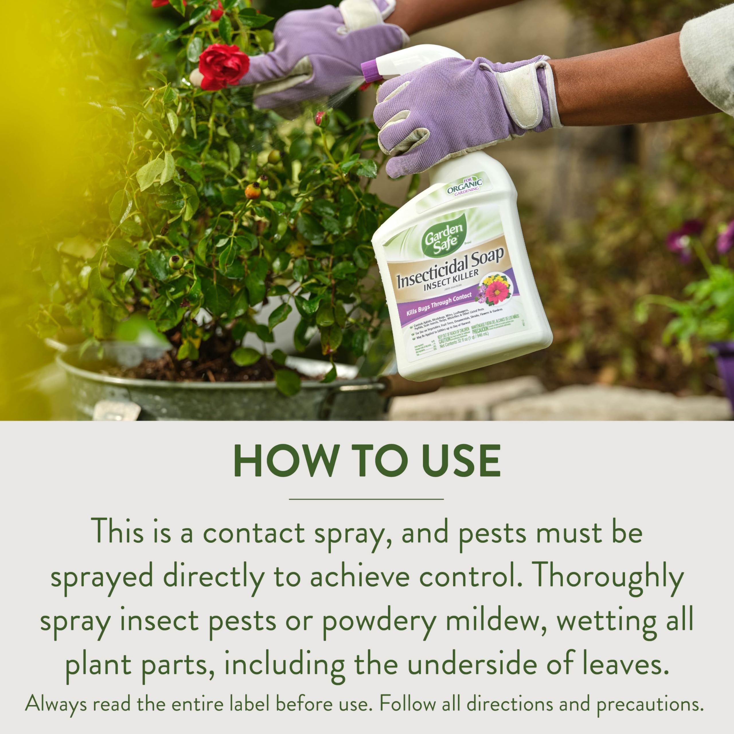 Close-up of foliage with Garden Safe spray protecting against pests.