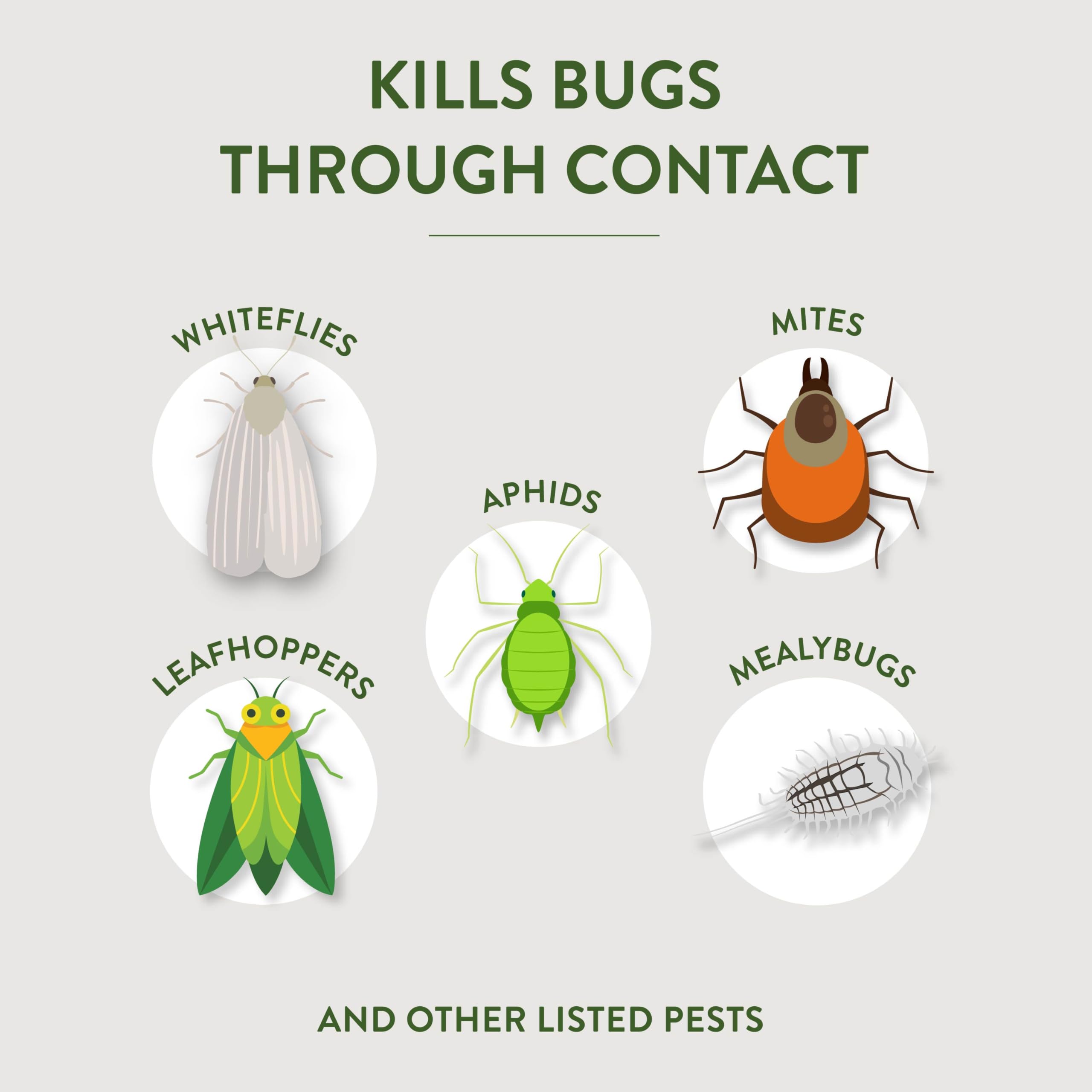 Garden Safe spray on leaves demonstrating thorough pest coverage.
