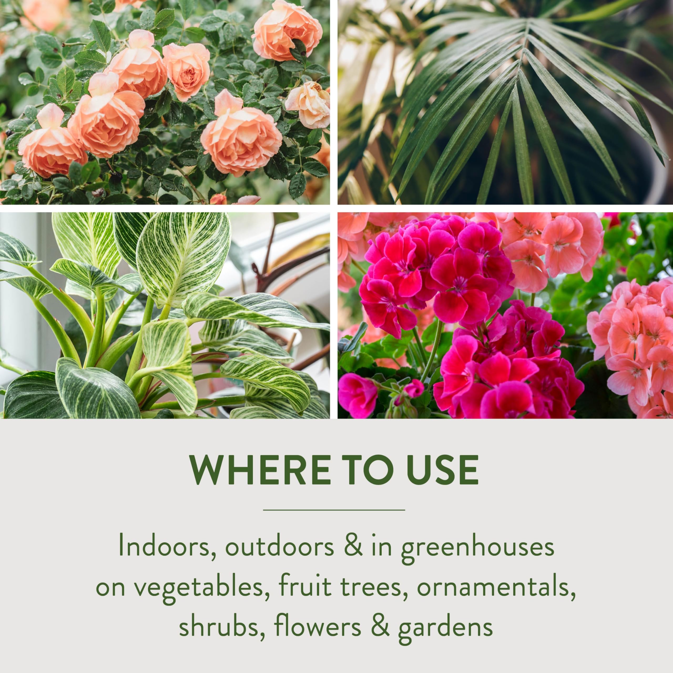 Garden Safe spray shown with vegetables and fruit trees for versatile organic use.