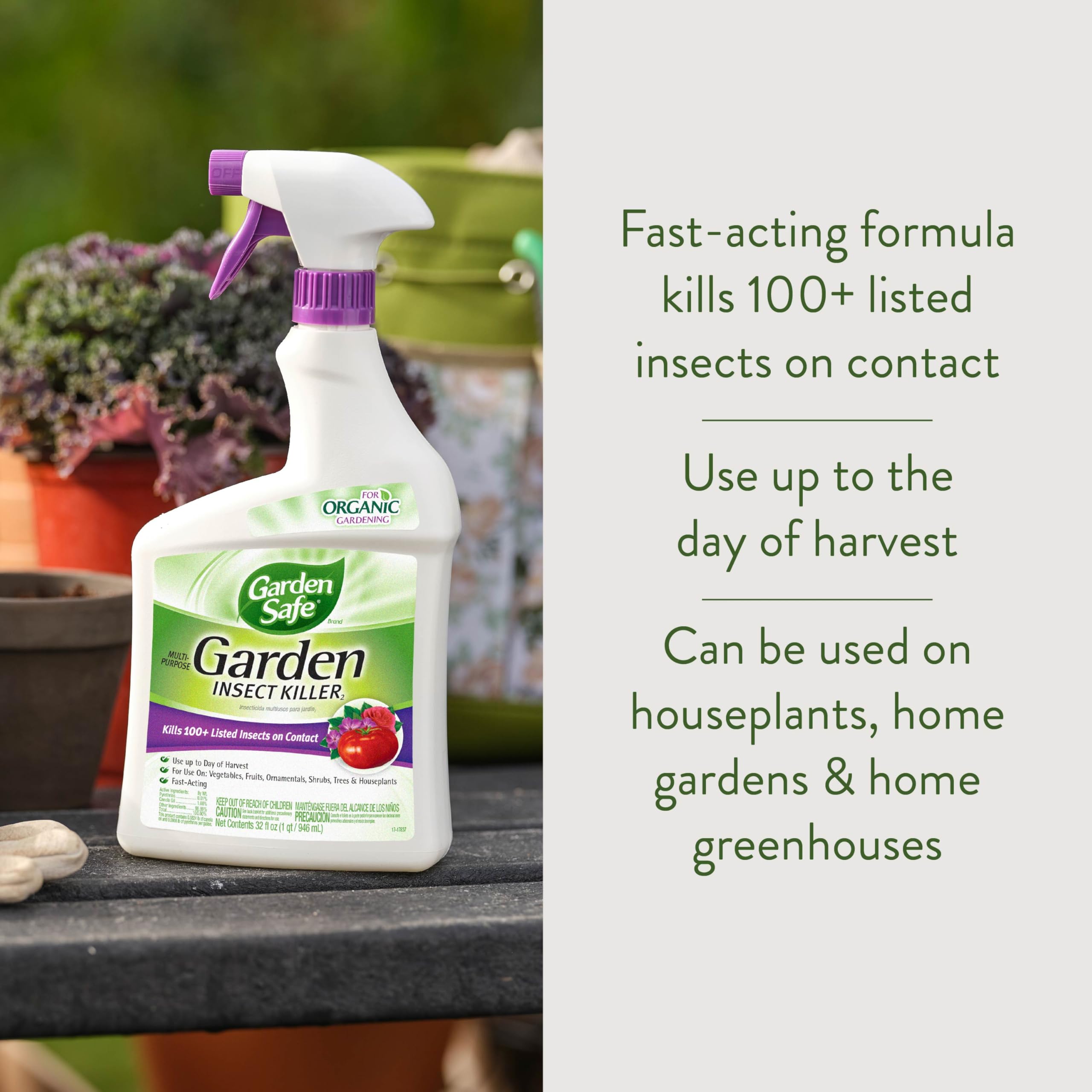 Garden Safe Insect Killer 2 spray action protects garden vegetables on contact