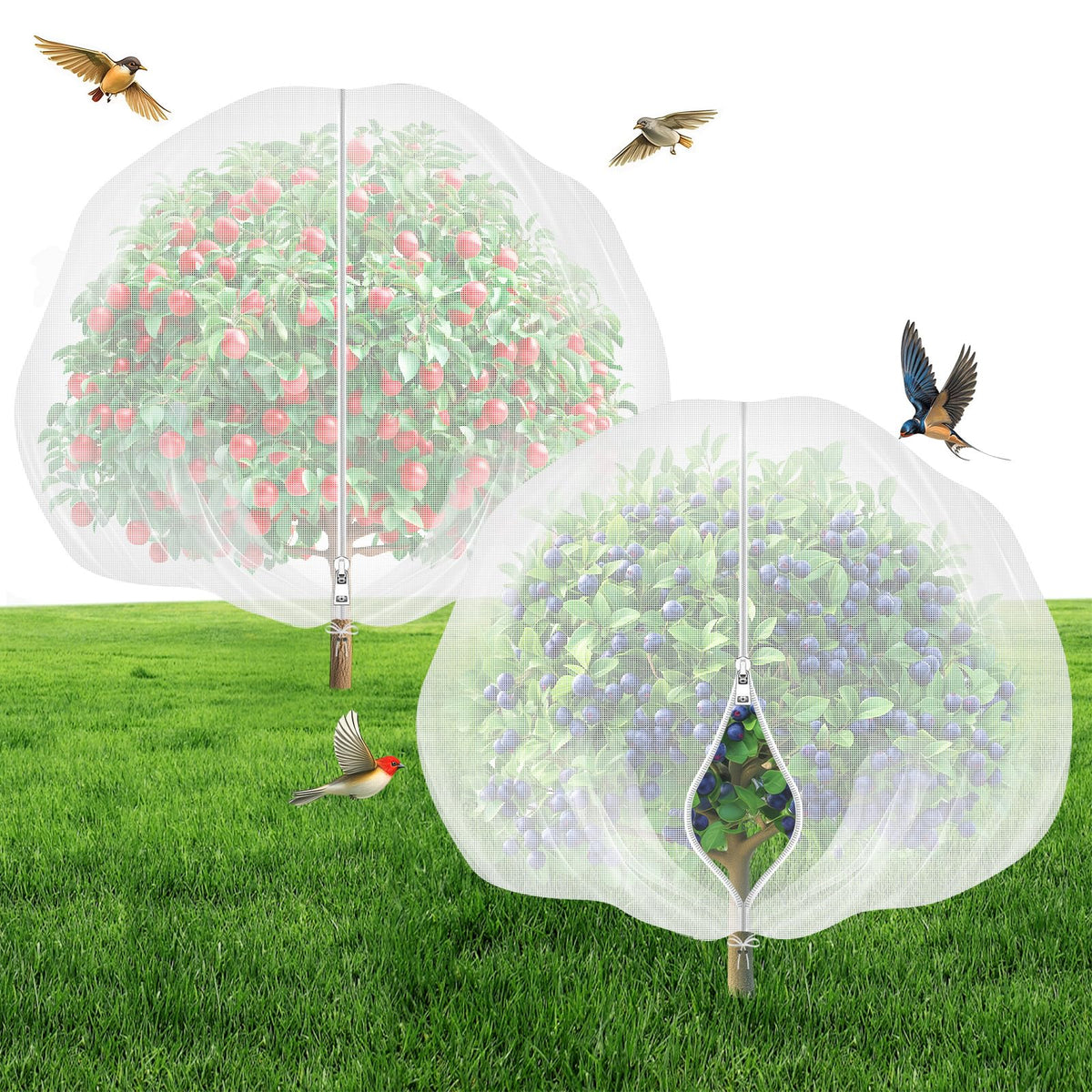 Garden Tailor fruit tree netting with zipper and drawstring protecting trees while allowing airflow.