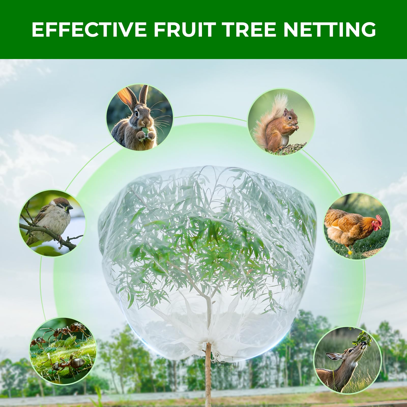 Garden Tailor netting allows watering through while shielding plants from pests.