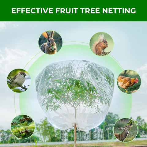 Garden Tailor netting allows watering through while shielding plants from pests.