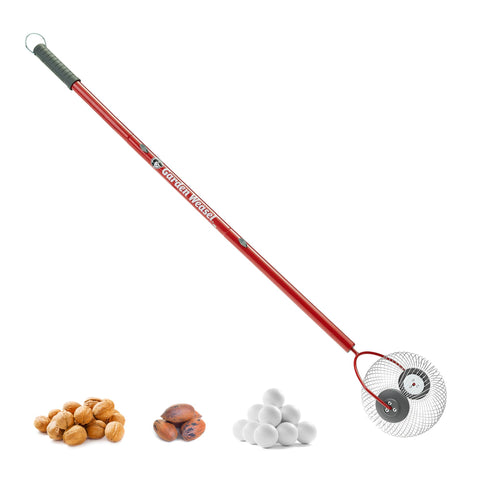 Garden Weasel medium nut gatherer roller collecting pecans with a smooth, efficient roll.