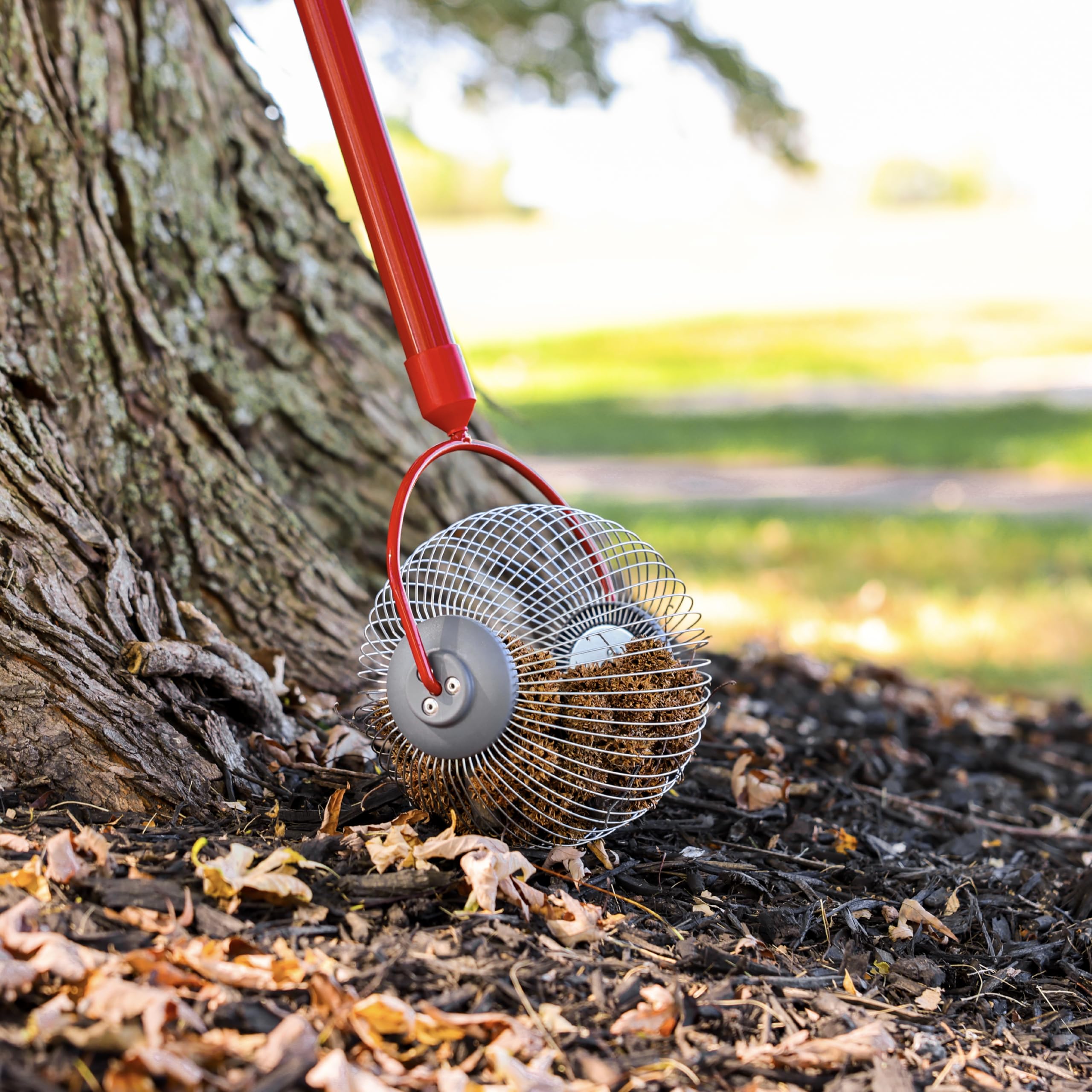 Garden Weasel nuts and golf balls cleanup in real-world yard scenario.