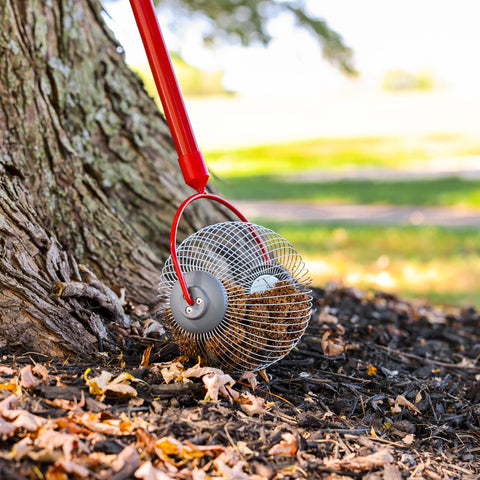 Garden Weasel nuts and golf balls cleanup in real-world yard scenario.