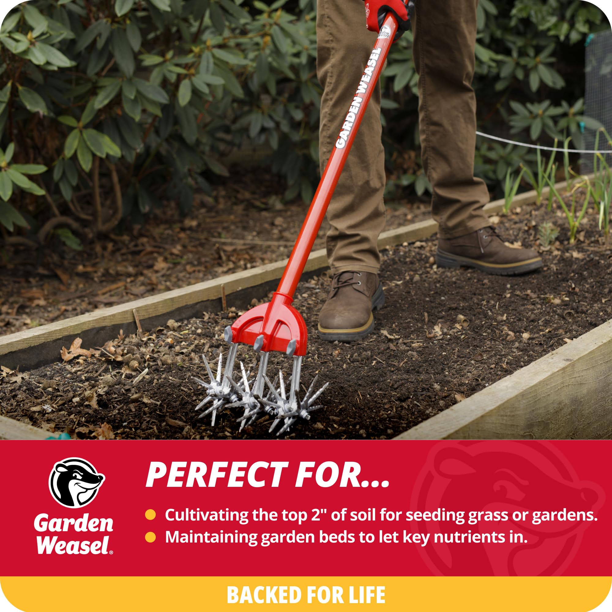 Garden Weasel in use on a lawn for efficient weed control and reseeding prep.