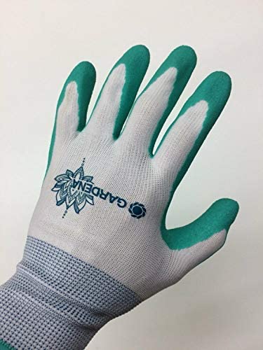 Gardena latex gardening gloves easy to wash after muddy tasks.